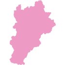 本站按公开材料组织页面